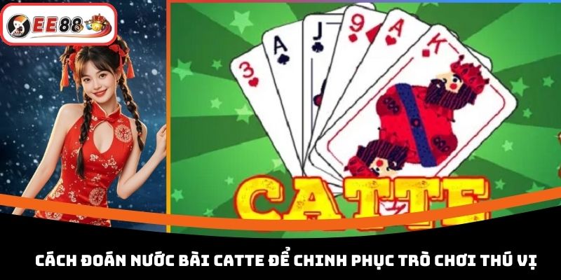Cách Đoán Nước Bài Catte Để Chinh Phục Trò Chơi Thú Vị