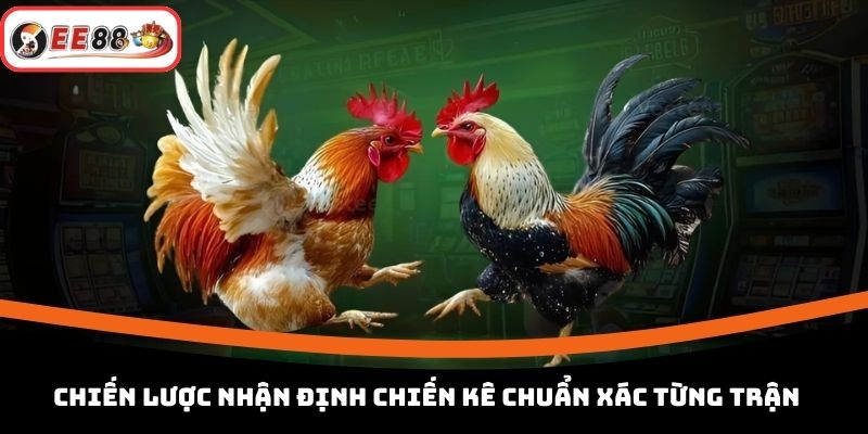 Chiến lược nhận định chiến kê chuẩn xác từng trận