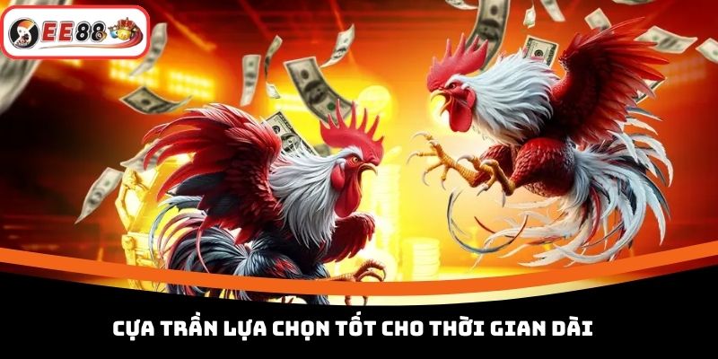 Cựa trần lựa chọn tốt cho thời gian dài