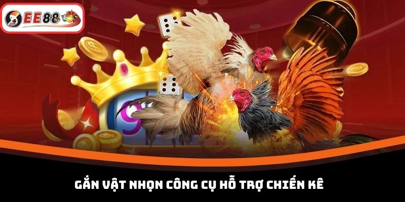 Gắn vật nhọn công cụ hỗ trợ chiến kê