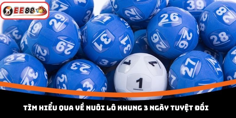 Tìm hiểu qua về nuôi lô khung 3 ngày tuyệt đối